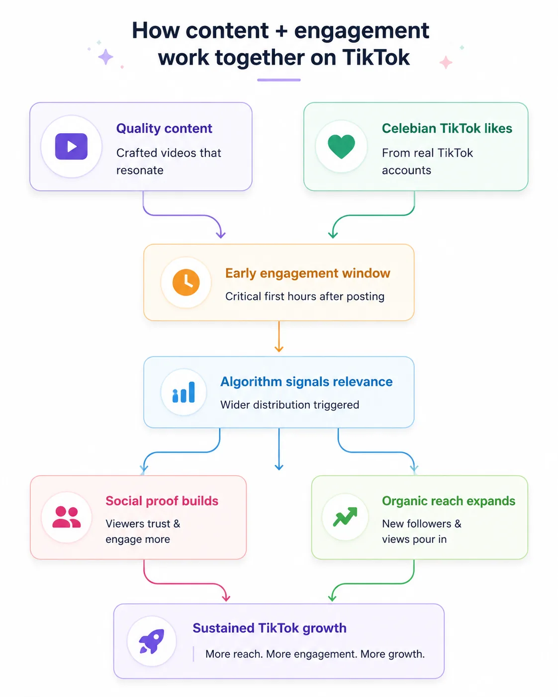 Why More and More Creators Pair Great Content with Celebian TikTok Likes